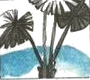 Cọ
