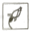 Nơ