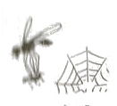 Ong vò vẽ